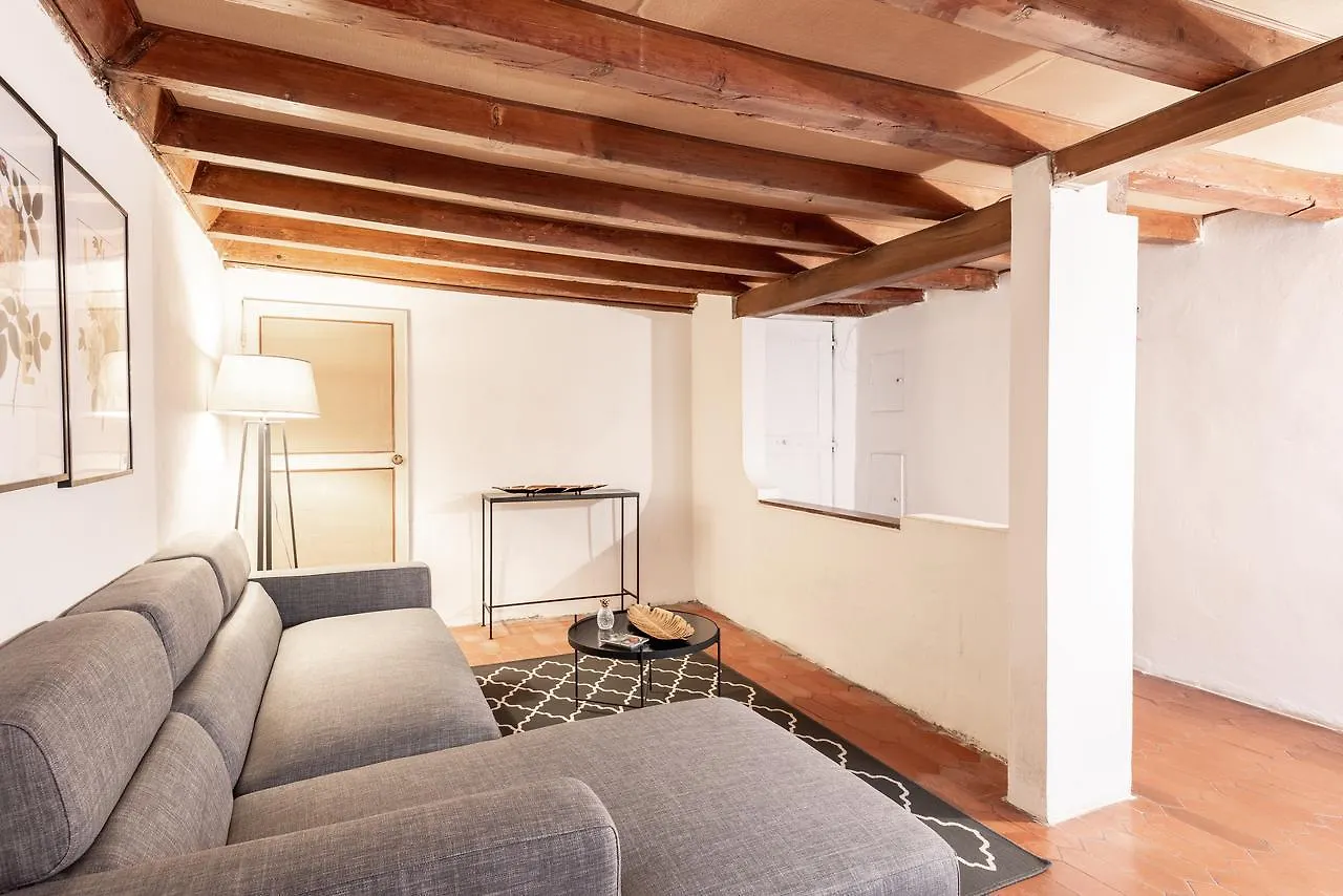 Santo Spirito Jungle Apartment Florence
